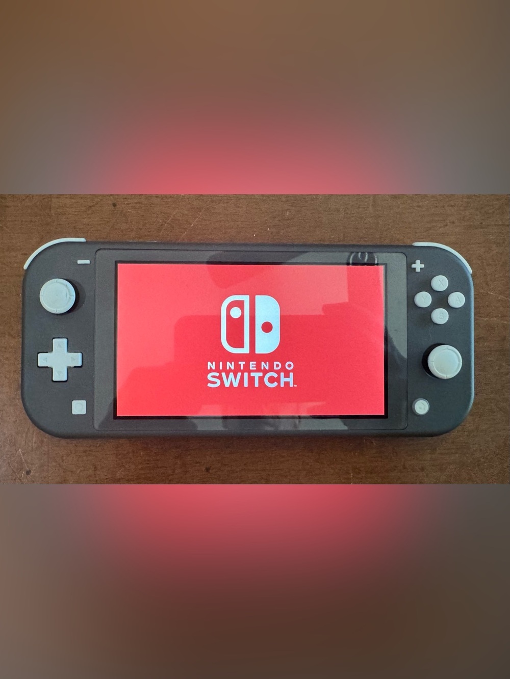 Nintendo Switch Lite Gray Handheld Gaming System With Two Games
